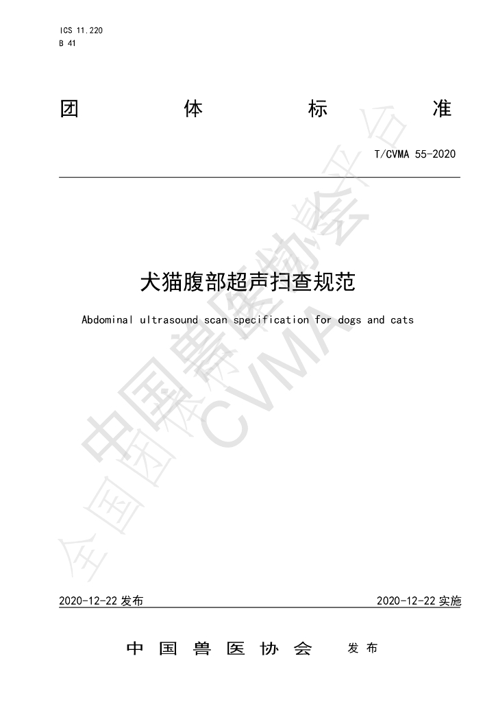 T/CVMA 55-2020 标准预览