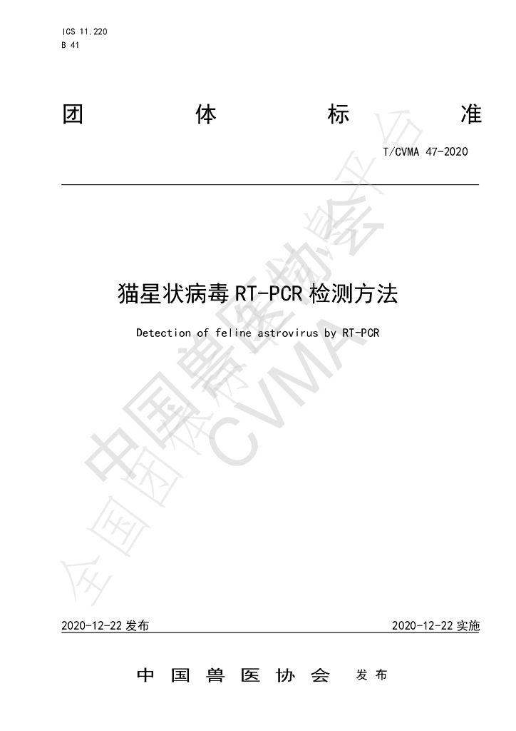 T/CVMA 47-2020 标准预览