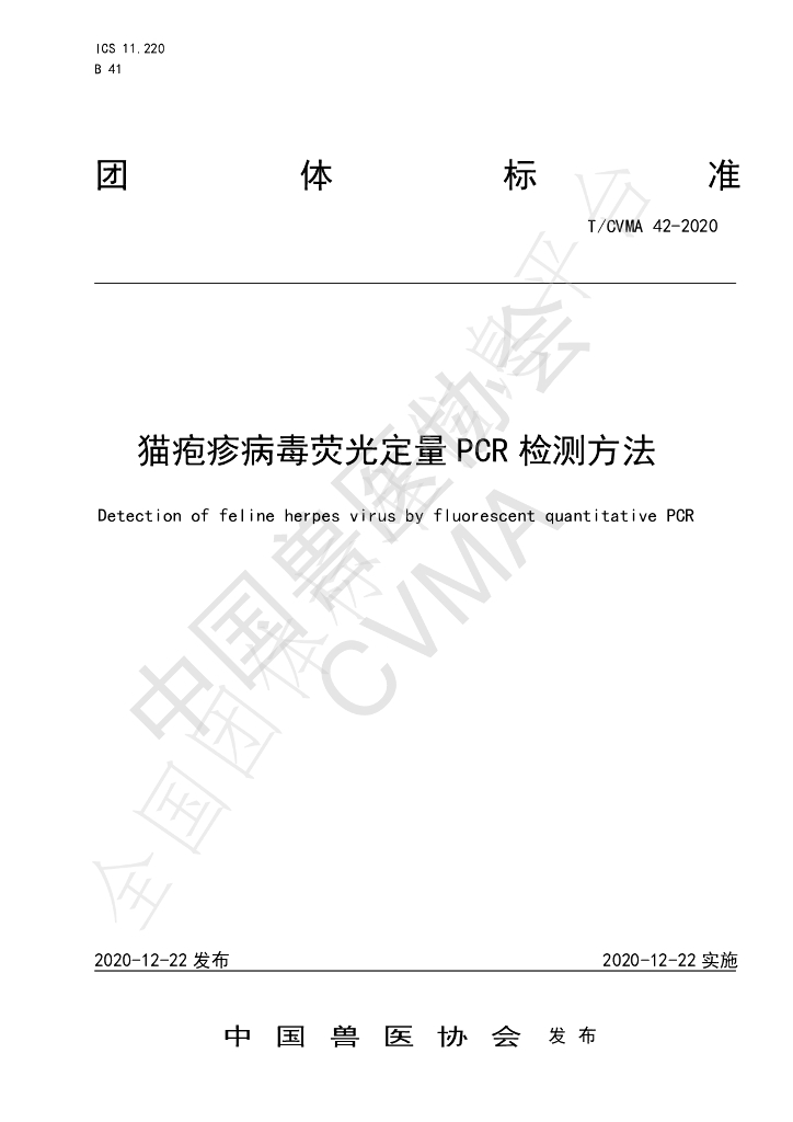 T/CVMA 42-2020 标准预览
