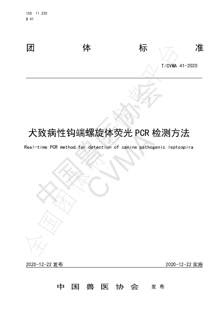 T/CVMA 41-2020 标准预览