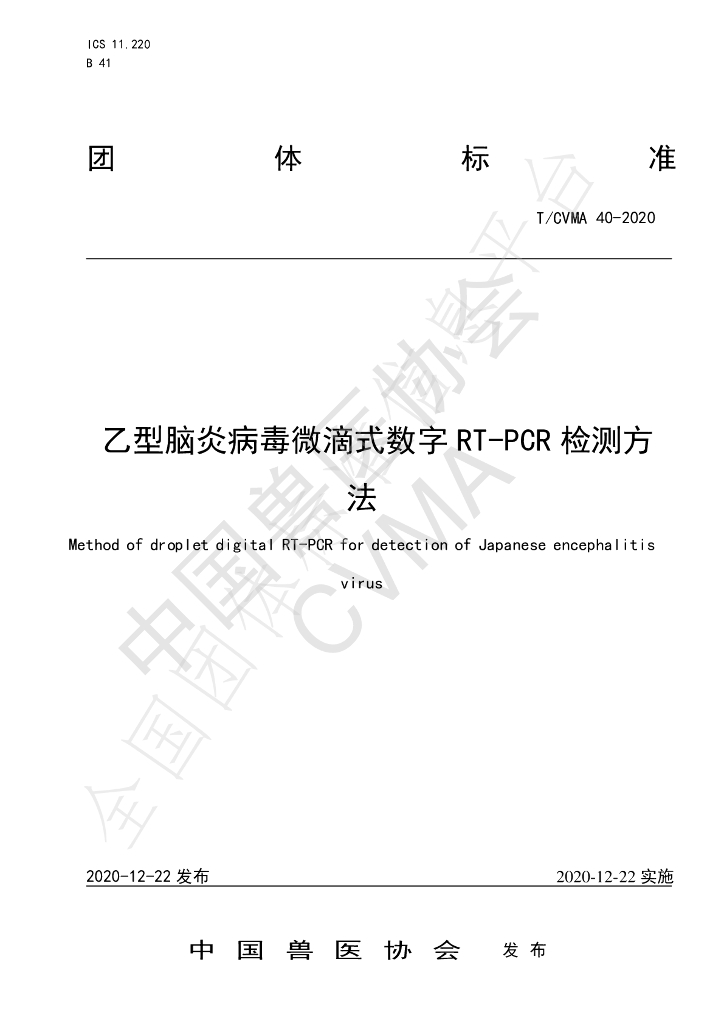 T/CVMA 40-2020 标准预览
