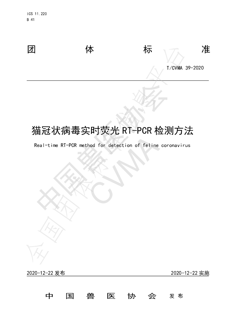 T/CVMA 39-2020 标准预览
