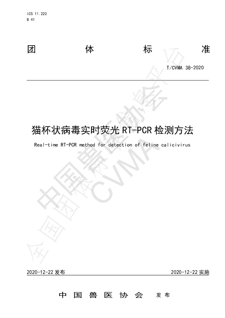 T/CVMA 38-2020 标准预览