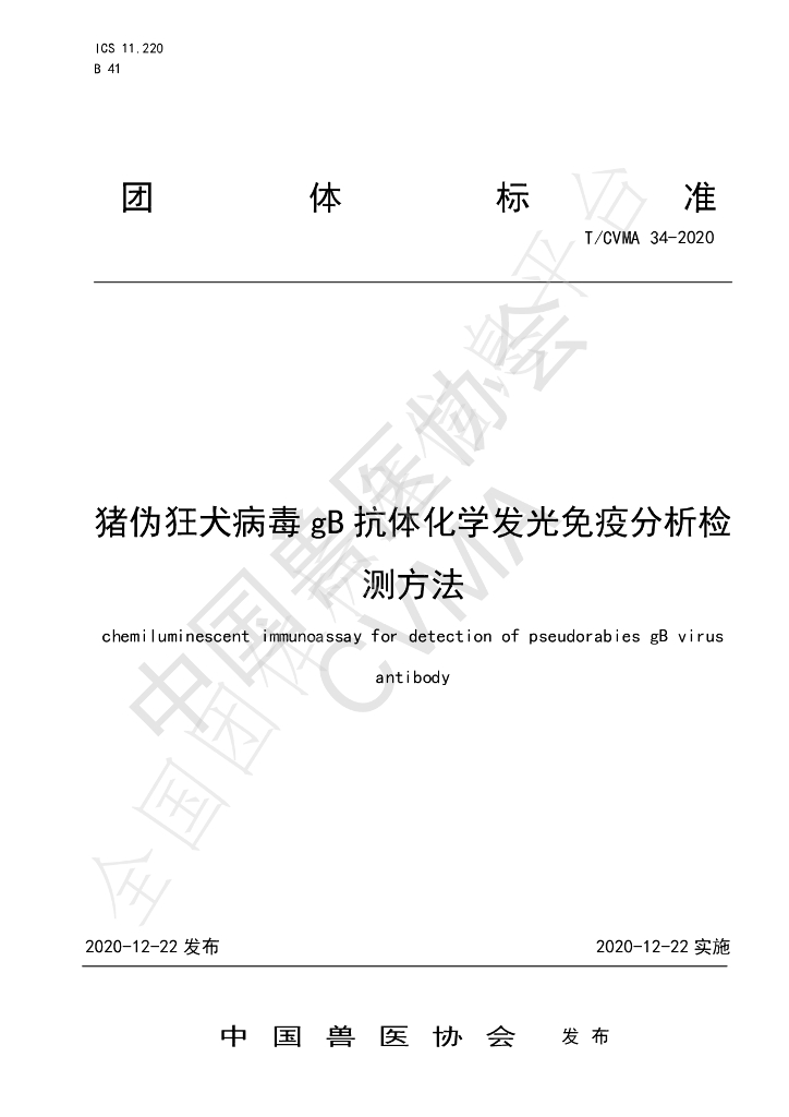 T/CVMA 34-2020 标准预览