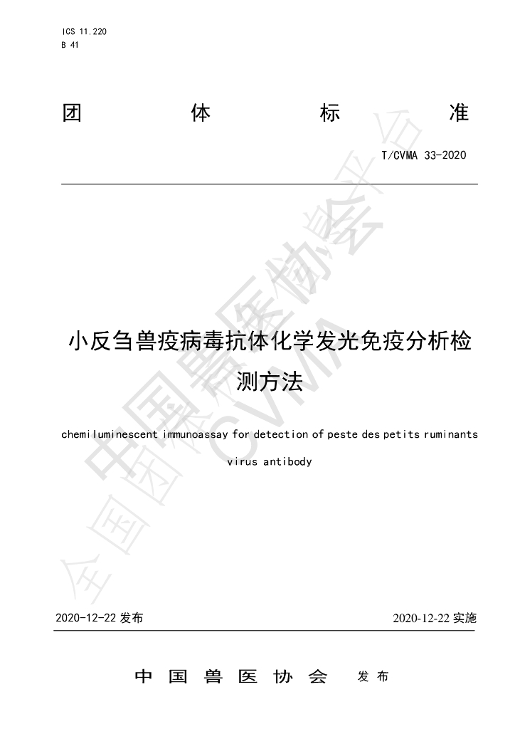 T/CVMA 33-2020 标准预览