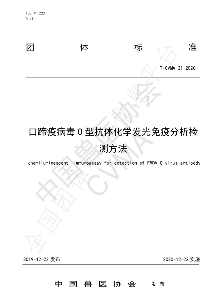 T/CVMA 31-2020 标准预览