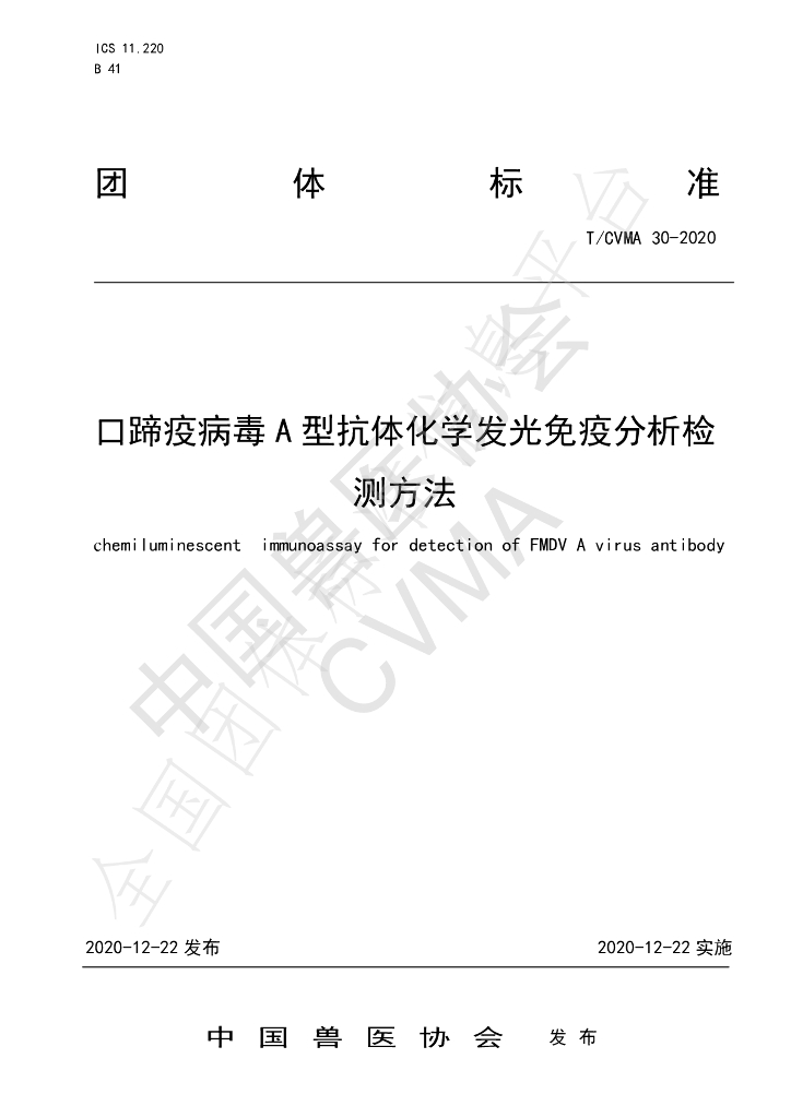 T/CVMA 30-2020 标准预览