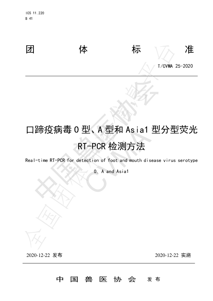 T/CVMA 25-2020 标准预览