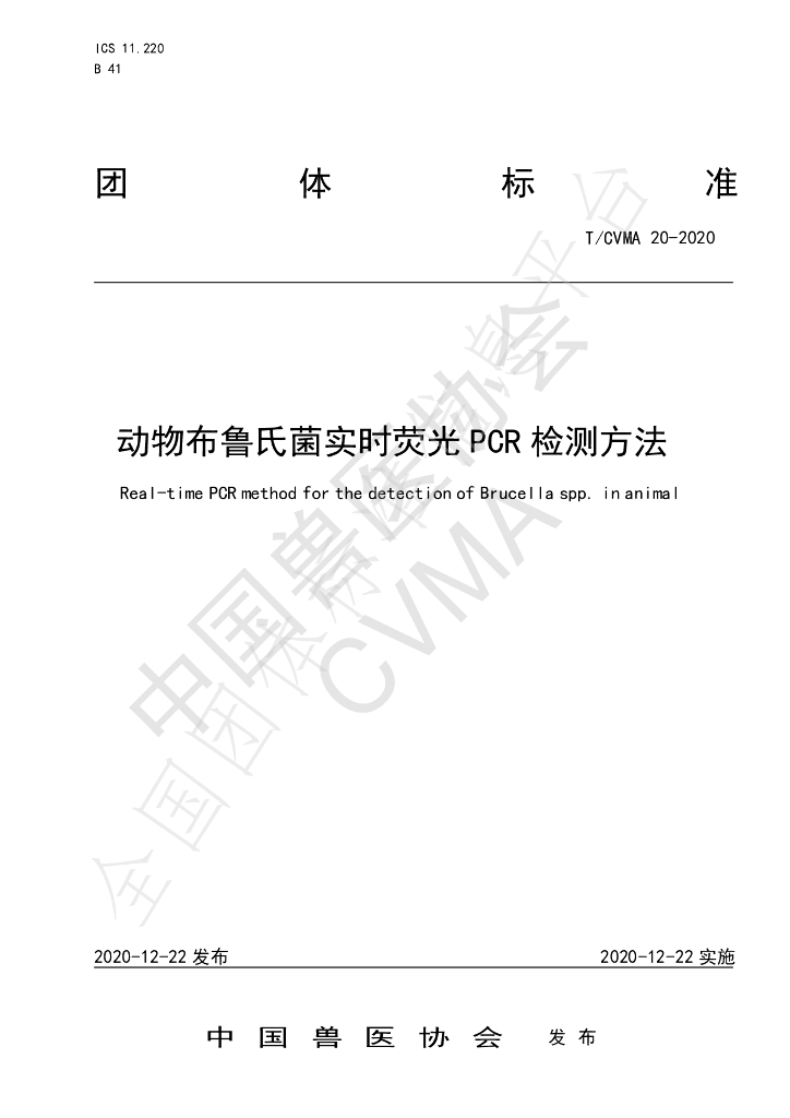 T/CVMA 20-2020 标准预览