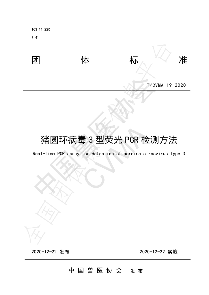 T/CVMA 19-2020 标准预览