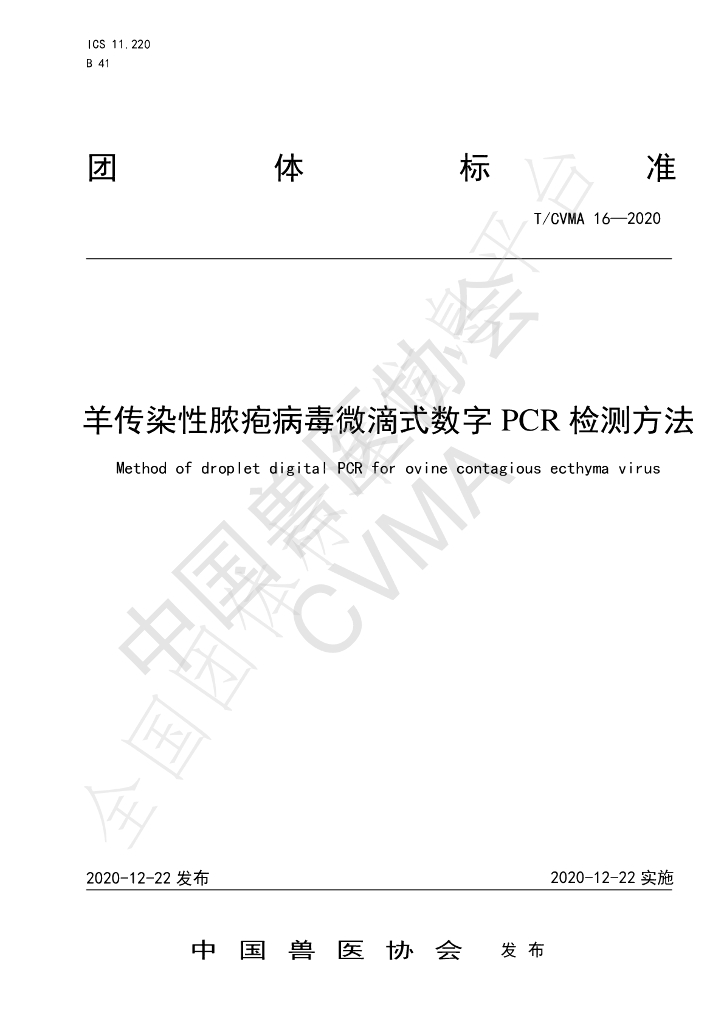 T/CVMA 16-2020 标准预览