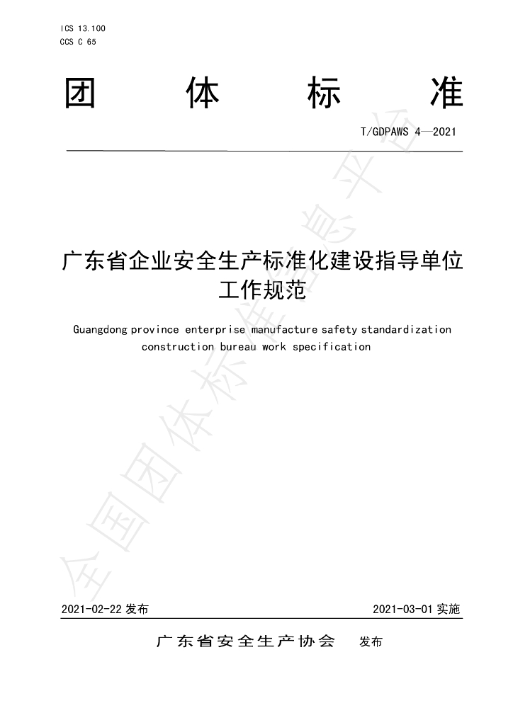 T/GDPAWS 4-2021 标准预览