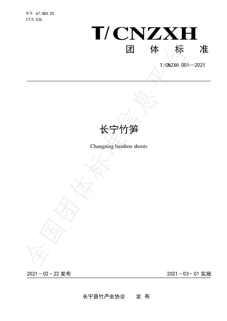 T/CNZXH 001-2021 标准预览
