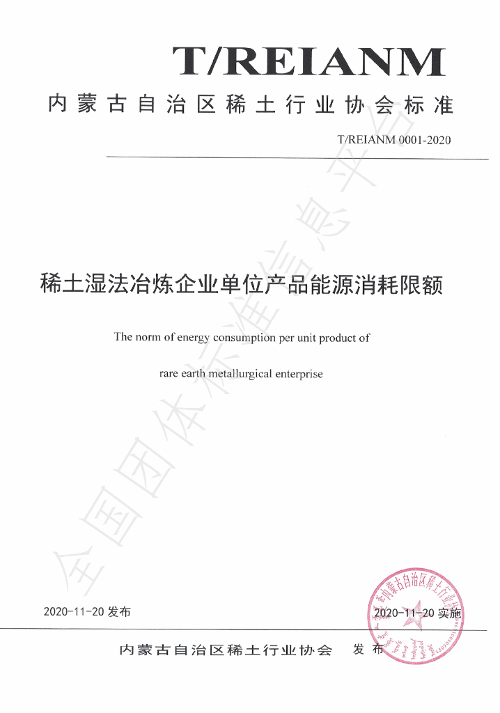T/REIANM 0001-2020 标准预览