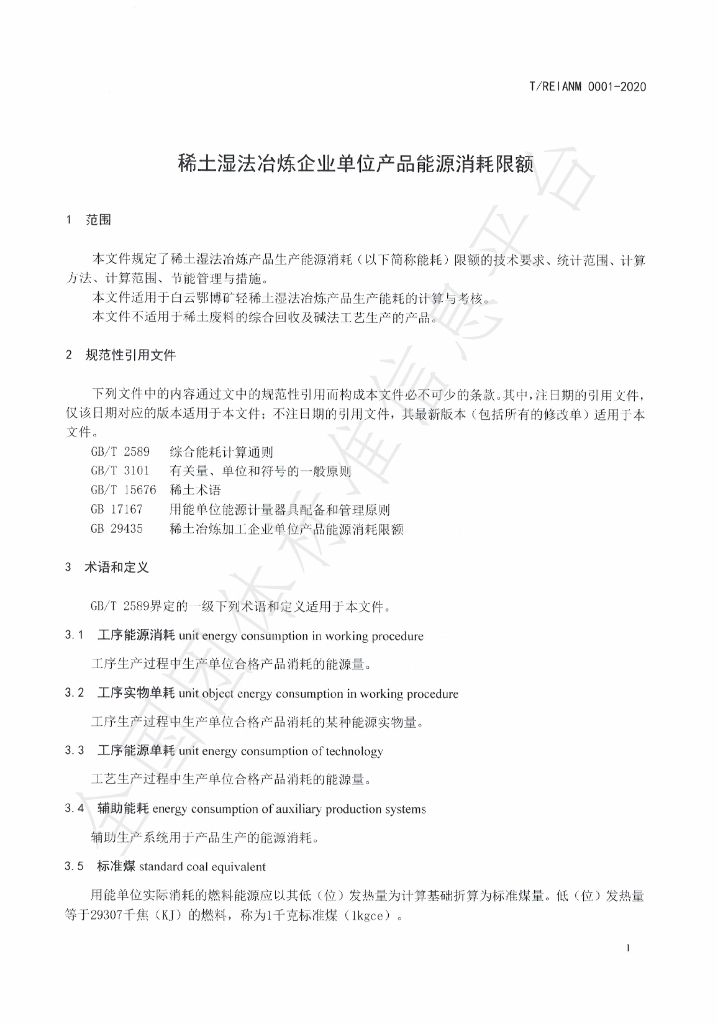 T/REIANM 0001-2020 标准预览