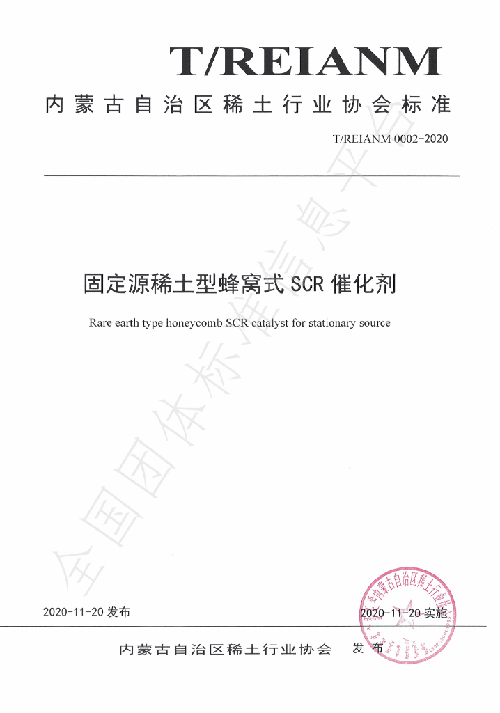 T/REIANM 0002-2020 标准预览