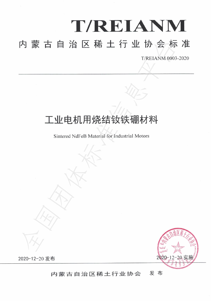 T/REIANM 0003-2020 标准预览