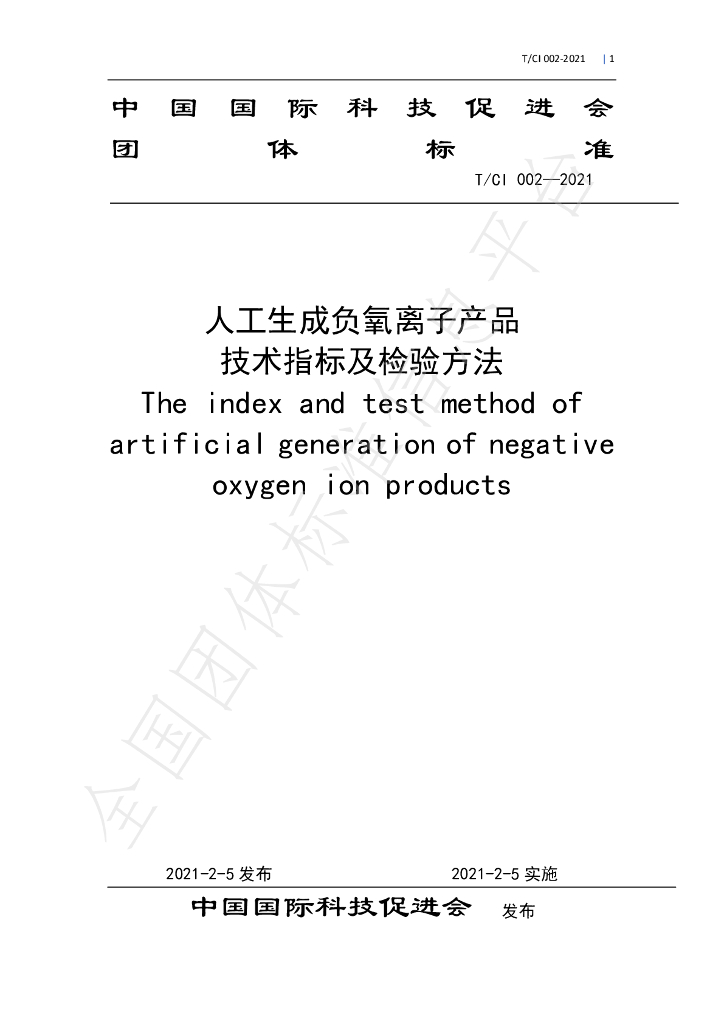 T/CI 002-2021 标准预览