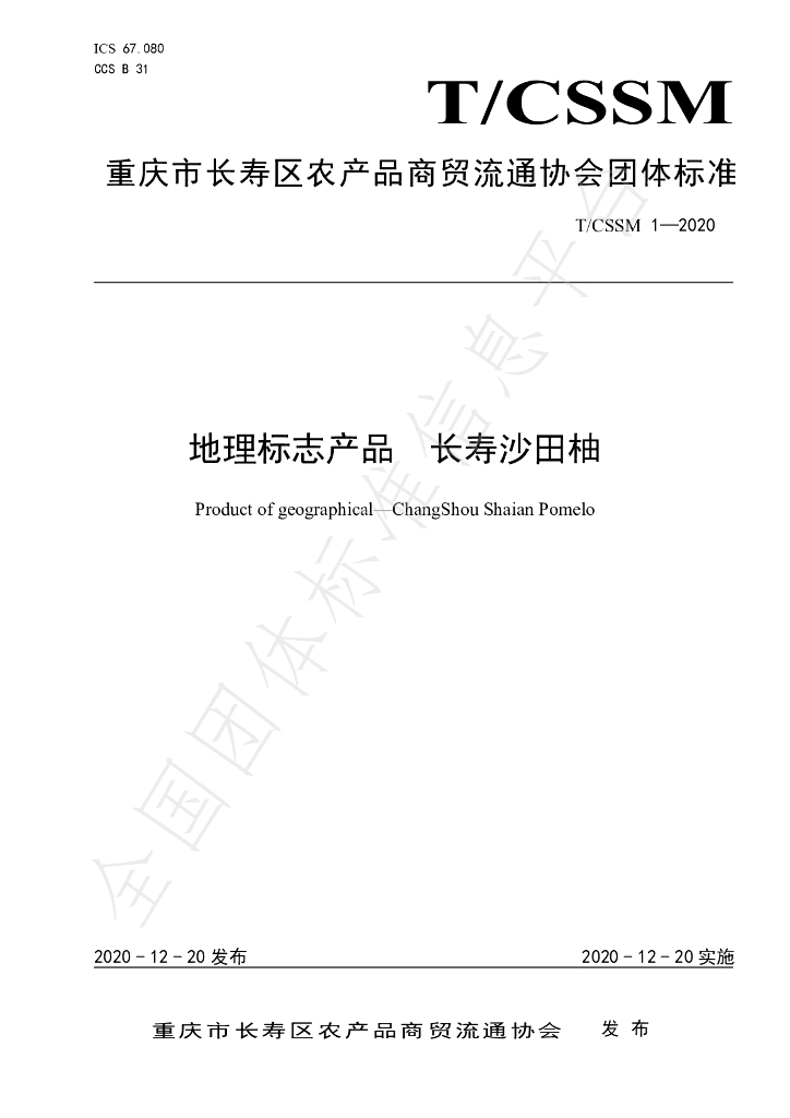T/CSSM 1-2020 标准预览