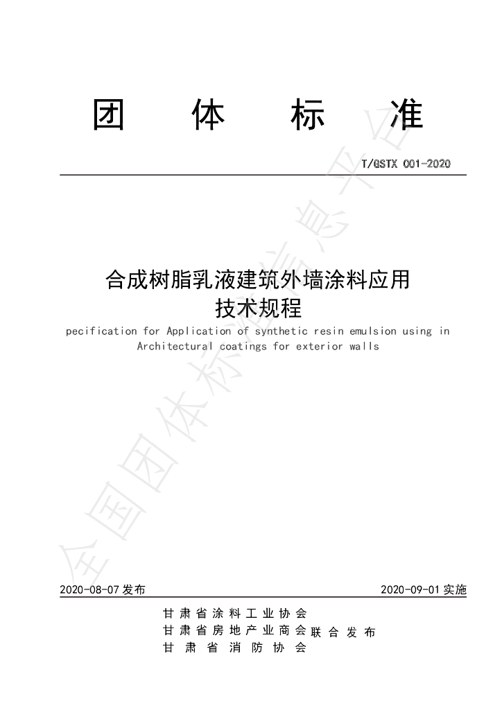 T/GSTX 001-2020 标准预览