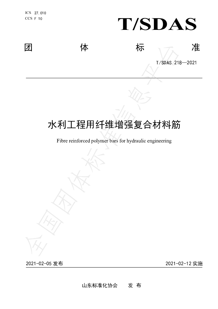 T/SDAS 218-2021 标准预览