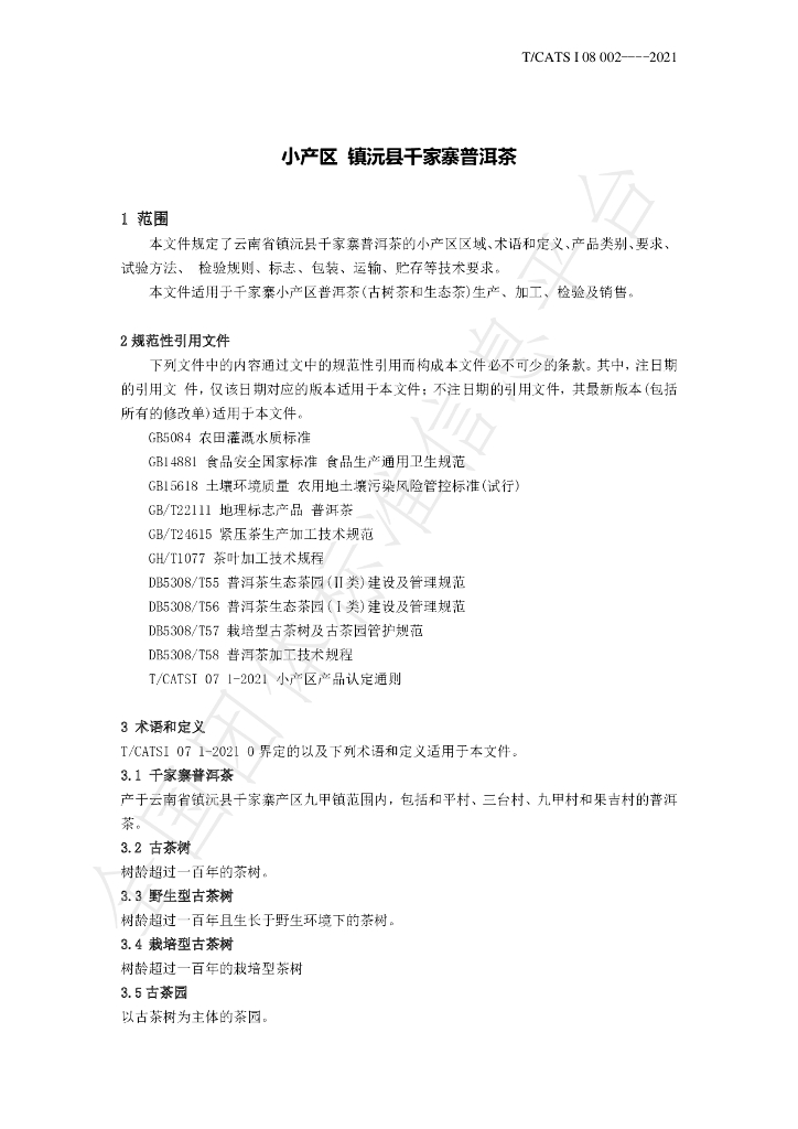T/CATSI 08-2021 标准预览
