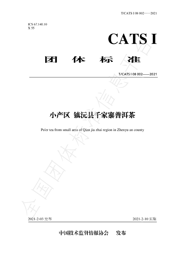 T/CATSI 08-2021 标准预览