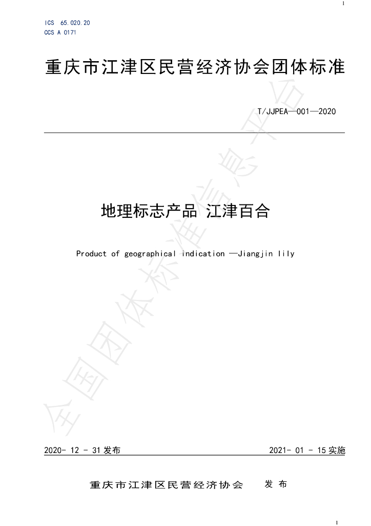 T/JJPEA 001-2020 标准预览