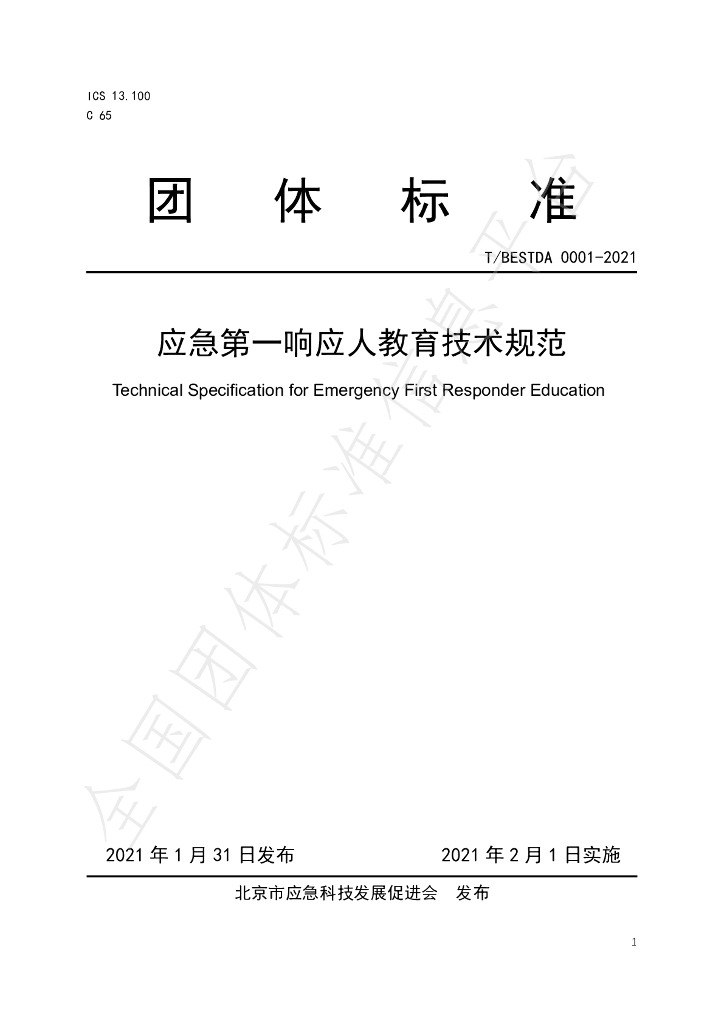 T/BESTDA 0001-2021 标准预览