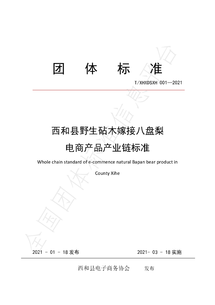 T/XHXDSXH 001-2021 标准预览