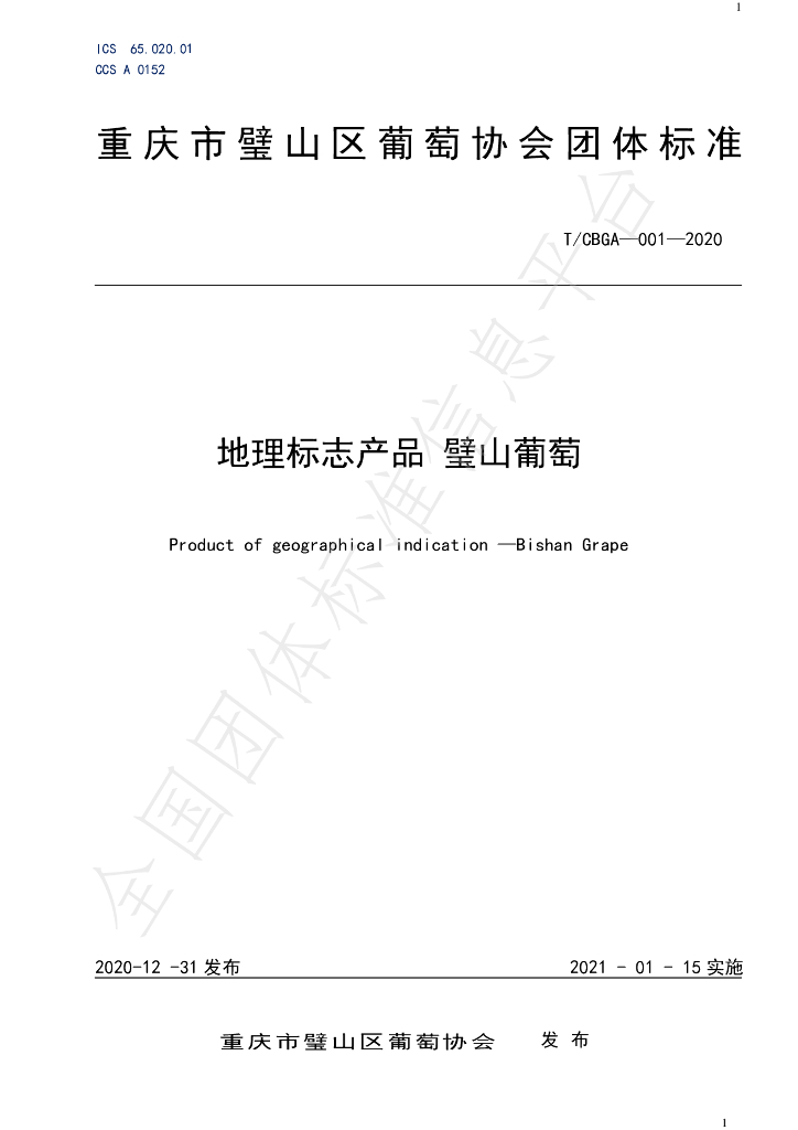 T/CBGA 001-2020 标准预览
