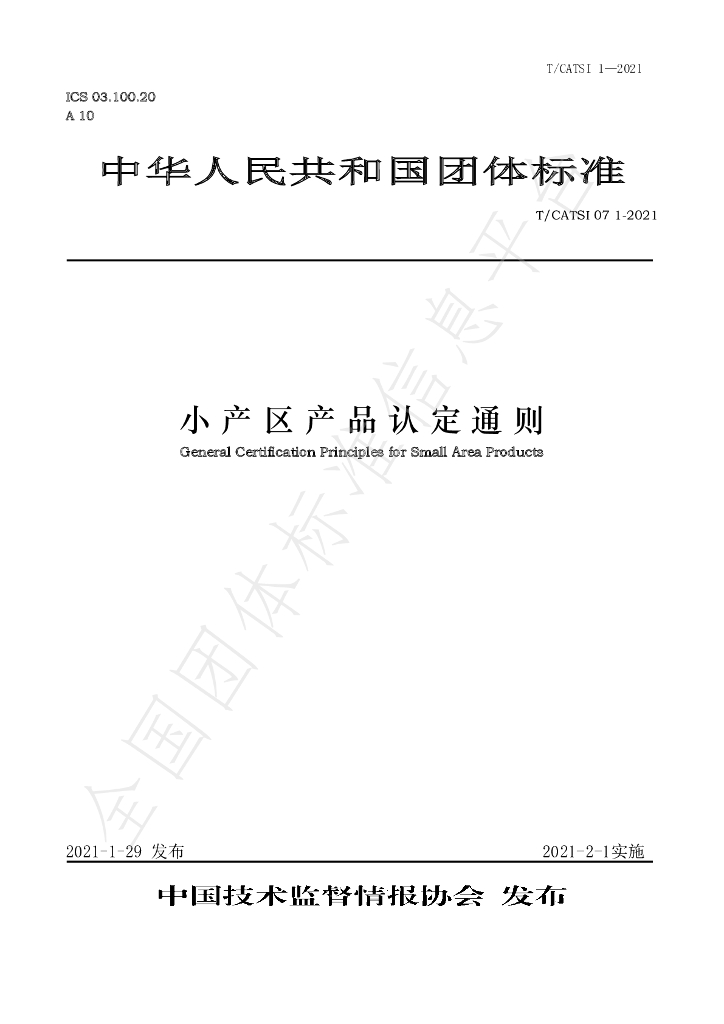 T/CATSI 01-2021 标准预览