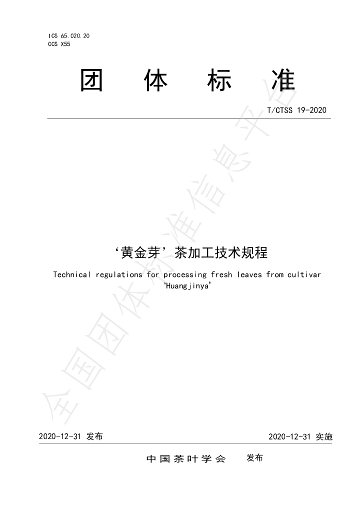 T/CTSS 19-2020 标准预览
