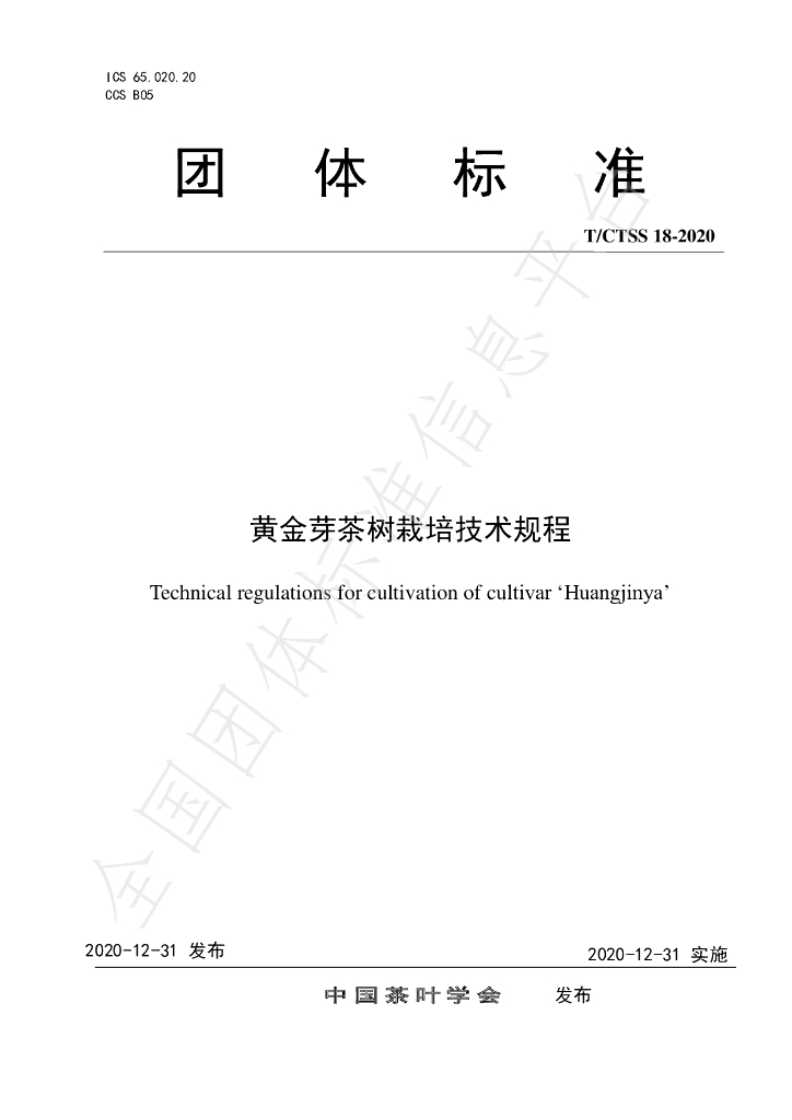 T/CTSS 18-2020 标准预览