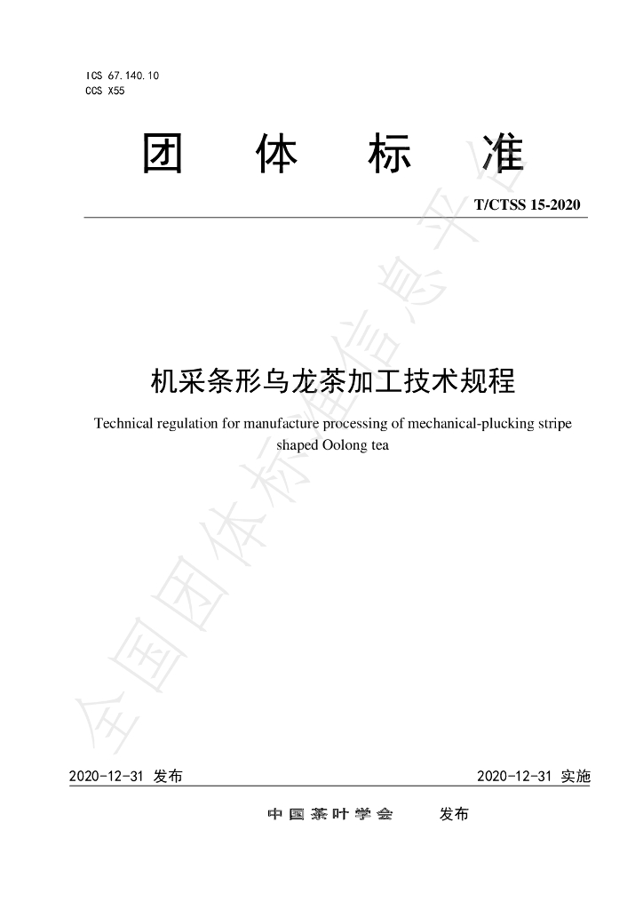 T/CTSS 15-2020 标准预览