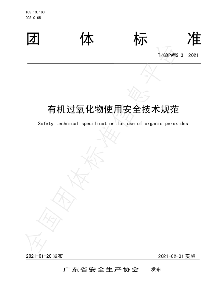 T/GDPAWS 3-2021 标准预览