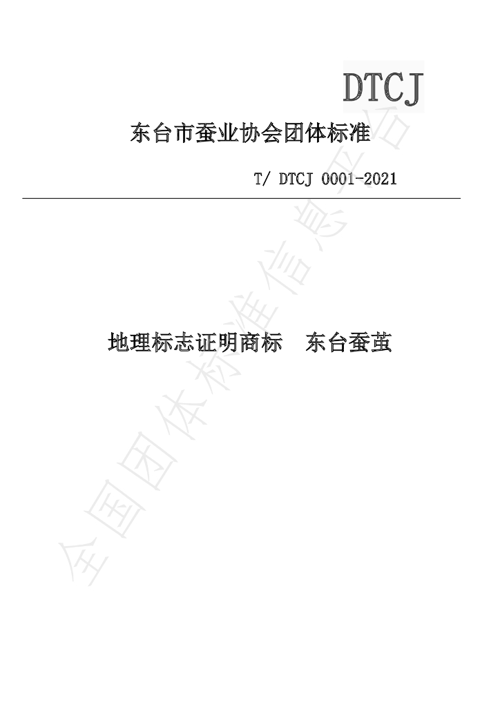 T/DTCJ 0001-2021 标准预览