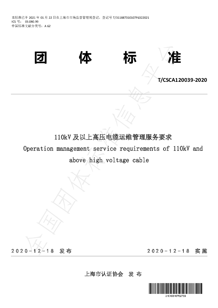 T/CSCA 120039-2020 标准预览