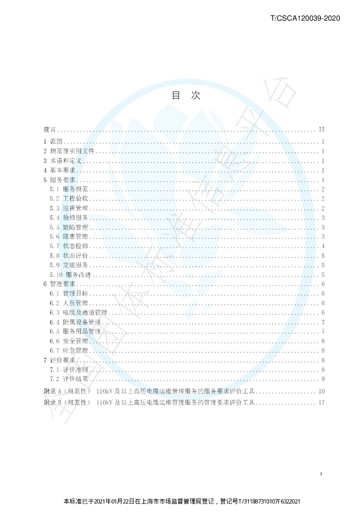 T/CSCA 120039-2020 标准预览