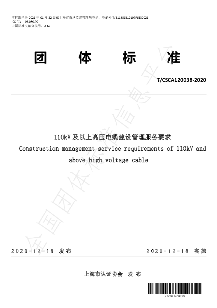 T/CSCA 120038-2020 标准预览