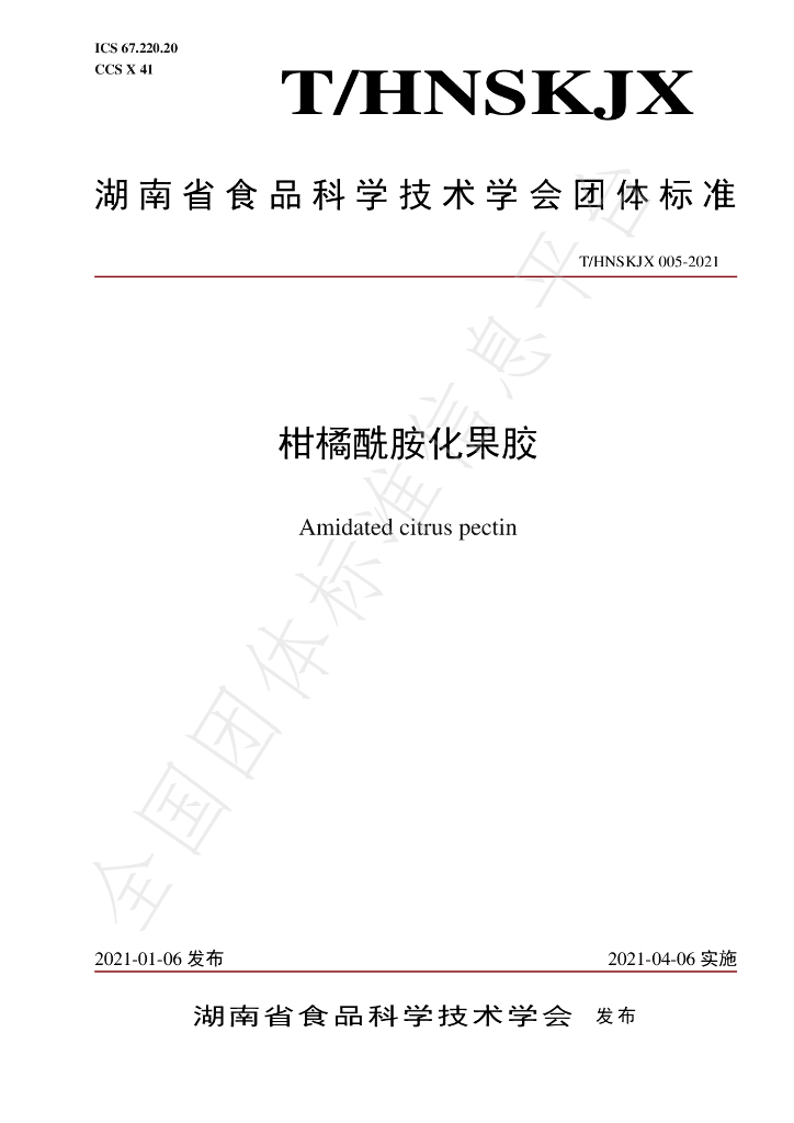 T/HNSKJX 005-2021 标准预览