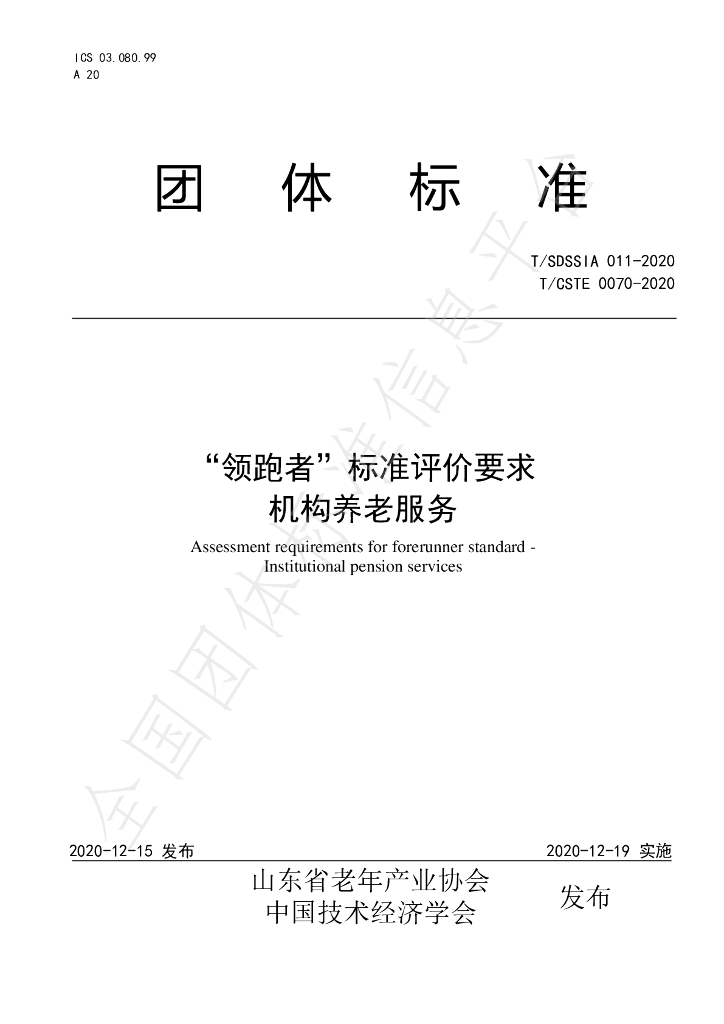 T/SDSSIA 011-2020 标准预览