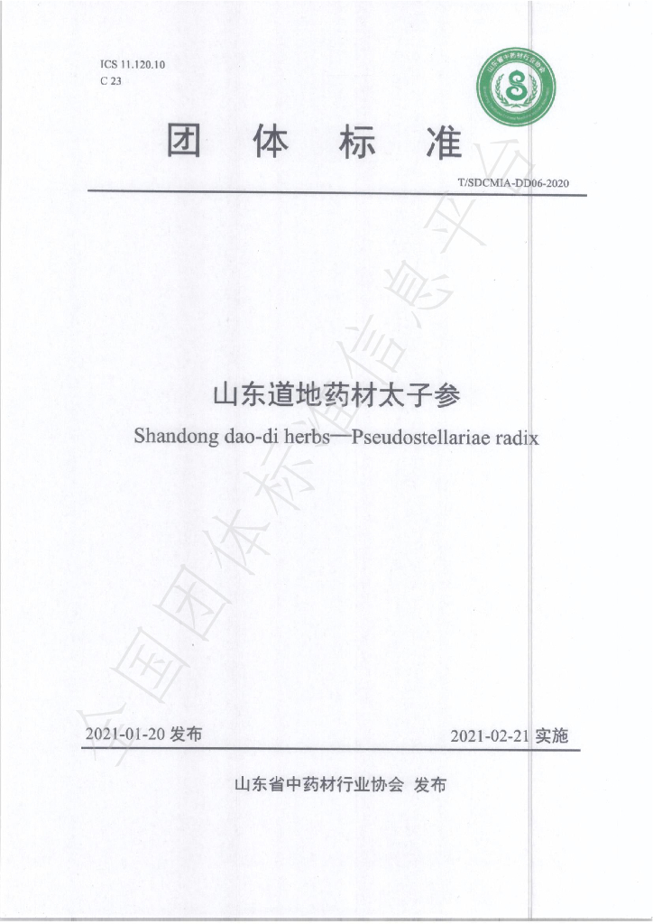 T/SDCMIA DD06-2020 标准预览