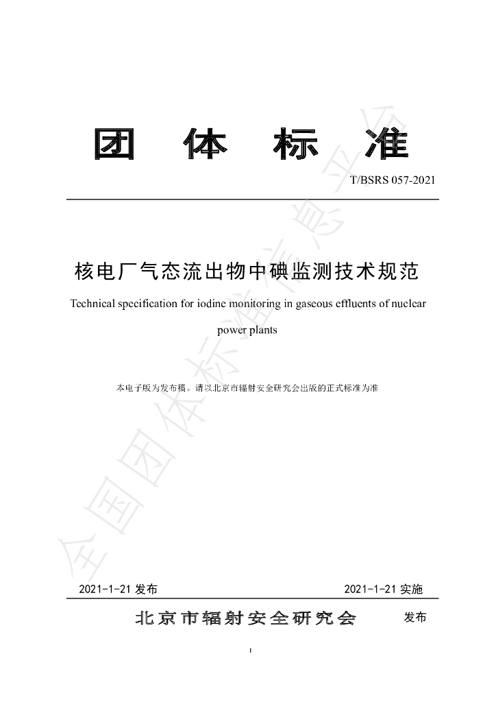 T/BSRS 057-2021 标准预览