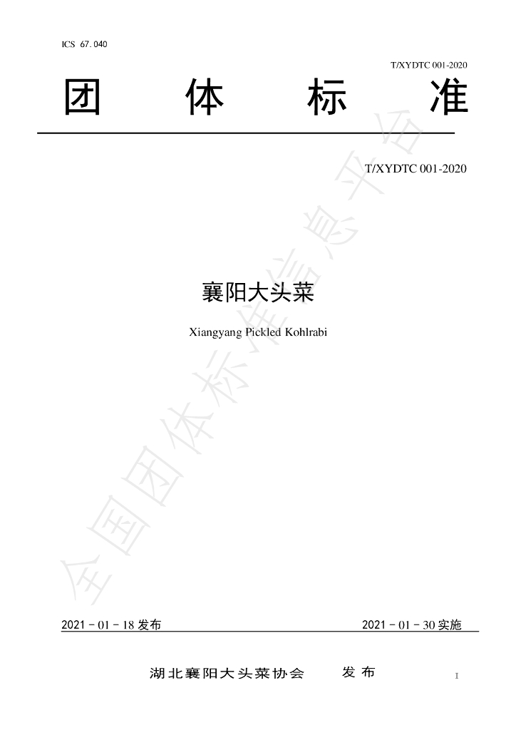T/XYDTC 001-2020 标准预览