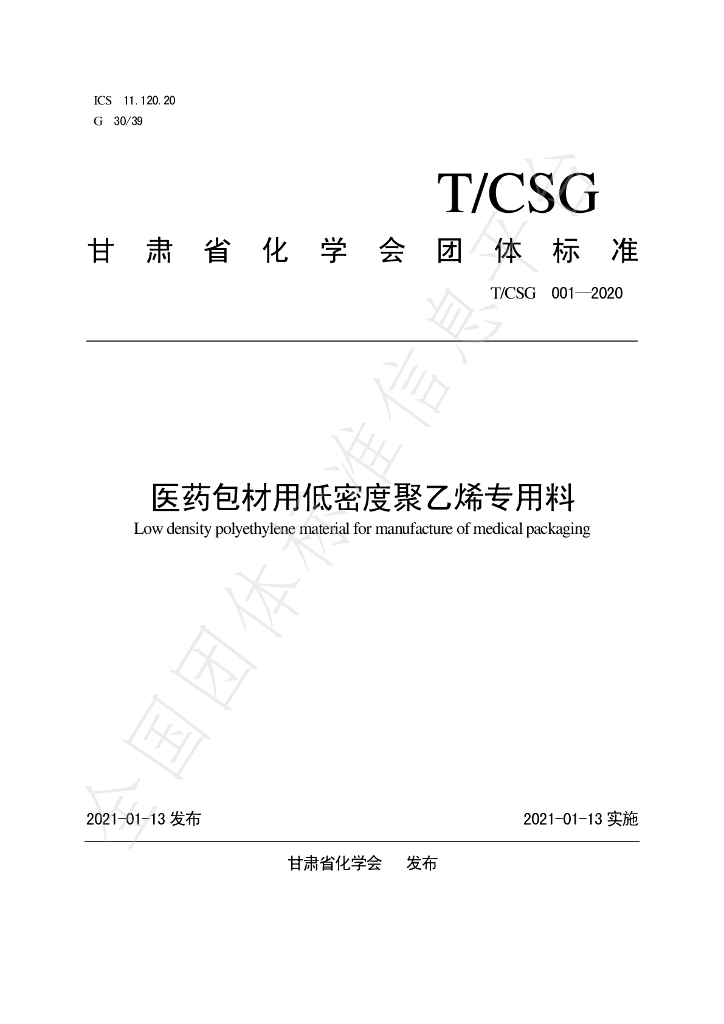T/CSG 001-2020 标准预览
