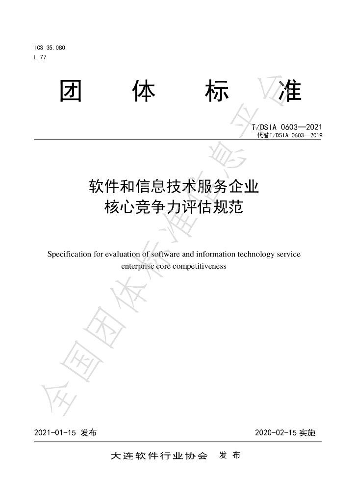 T/DSIA 0603-2021 标准预览