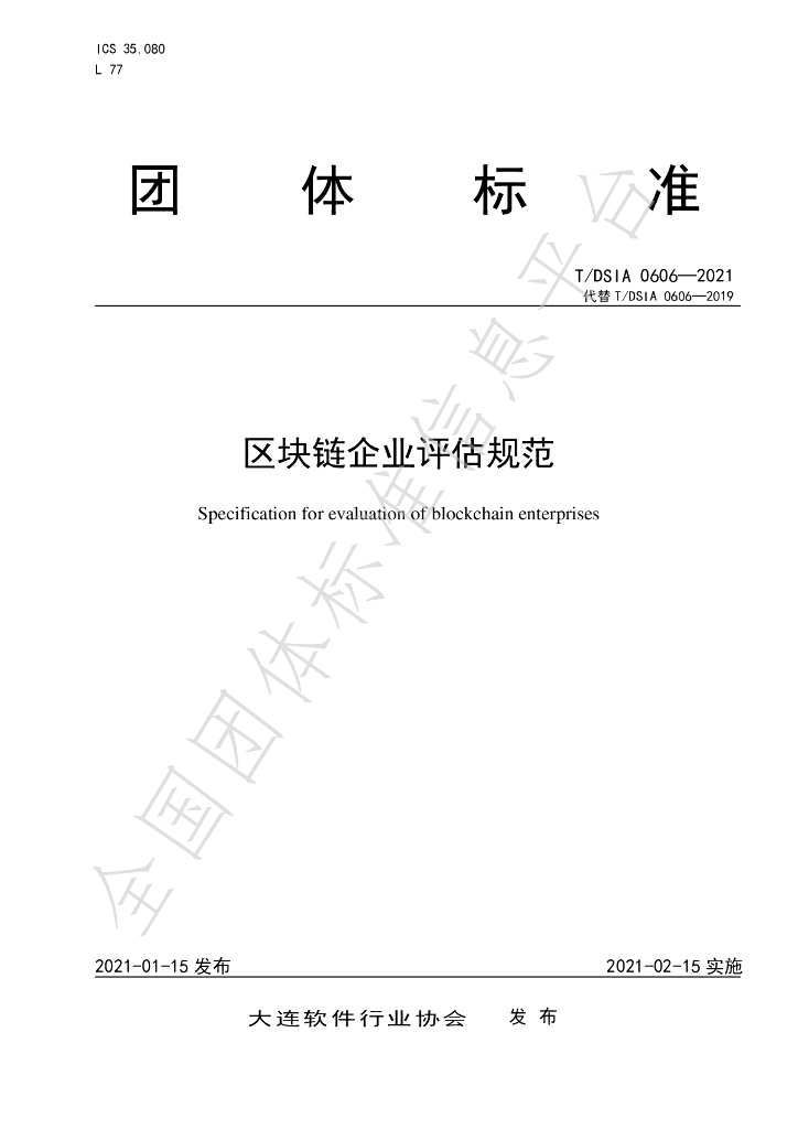 T/DSIA 0606-2021 标准预览