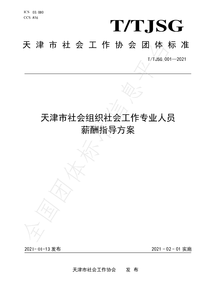 T/TJSG 001-2021 标准预览