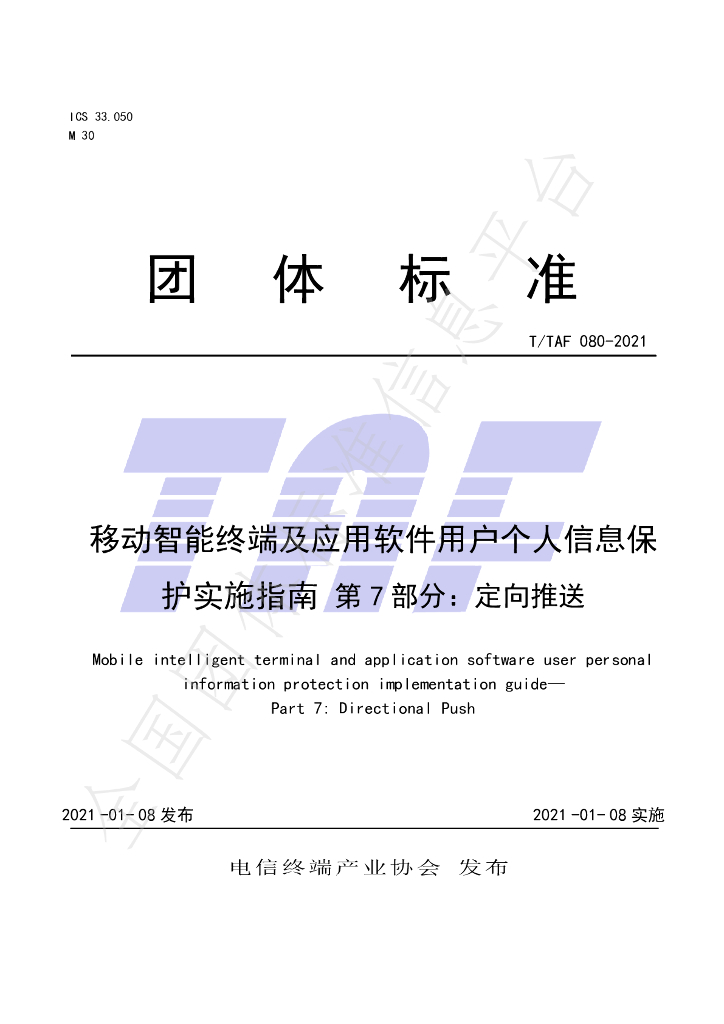 T/TAF 080-2021 标准预览